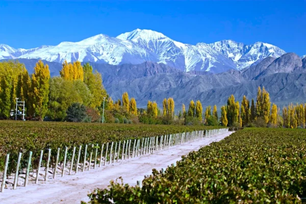 Mendoza