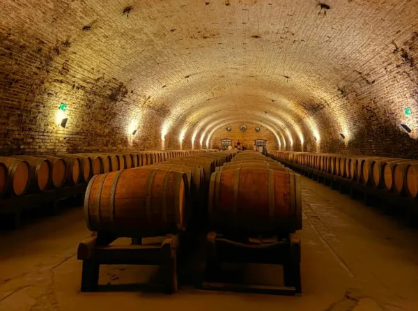 Cousiño & Macul Winery Tour