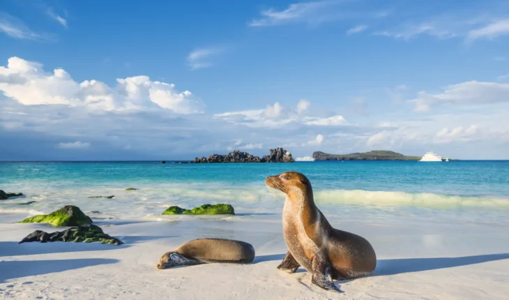Top Attractions in South America – Your Guide to Must-See Destinations Top Attractions in South America – Your Guide to Must-See Destinations