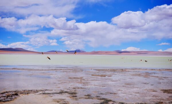 Laguna Verde