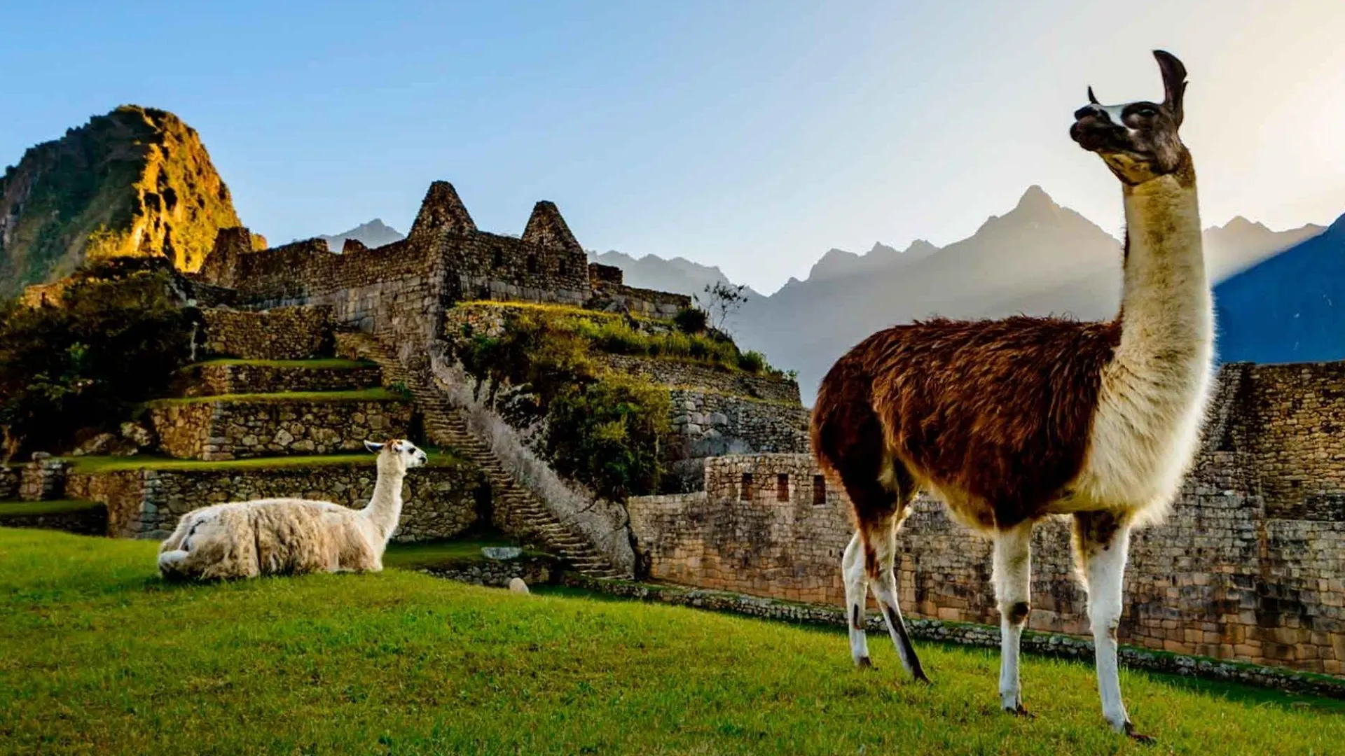 Galápagos and Machu Picchu: The Perfect South America Journey