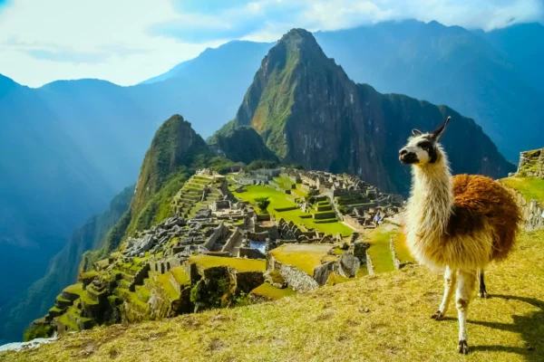 Machu Picchu