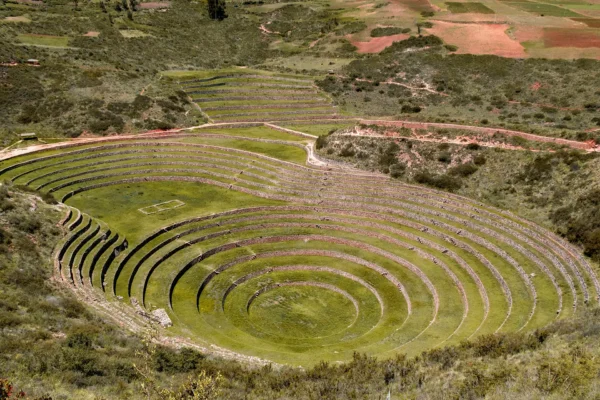Moray
